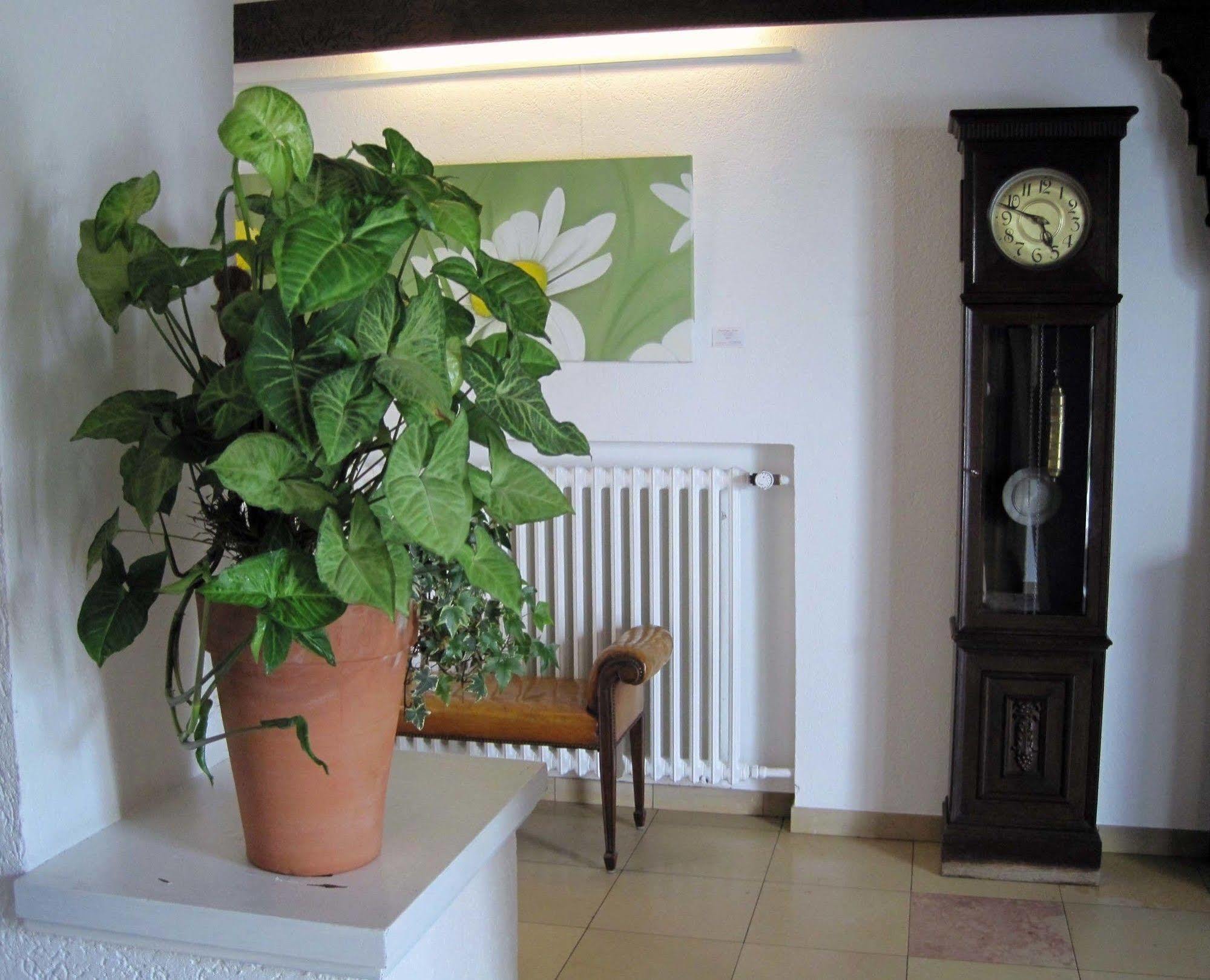 Haus Litzbruck Otel Düsseldorf Dış mekan fotoğraf